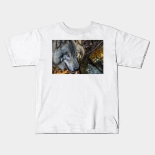 Timber Wolf - Closeup Kids T-Shirt